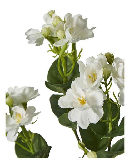 Jasmine Spray 60cm in White