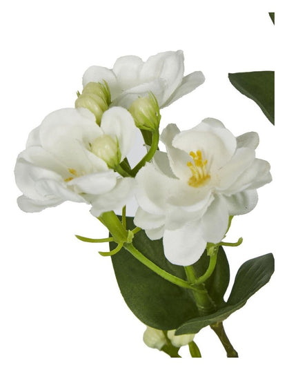 Jasmine Spray 60cm in White