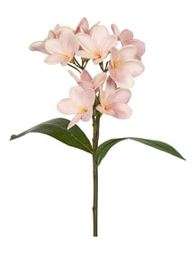 Plumeria Spray 46cm in Pink