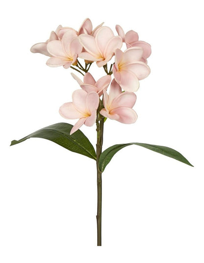 Plumeria Spray 46cm in Pink