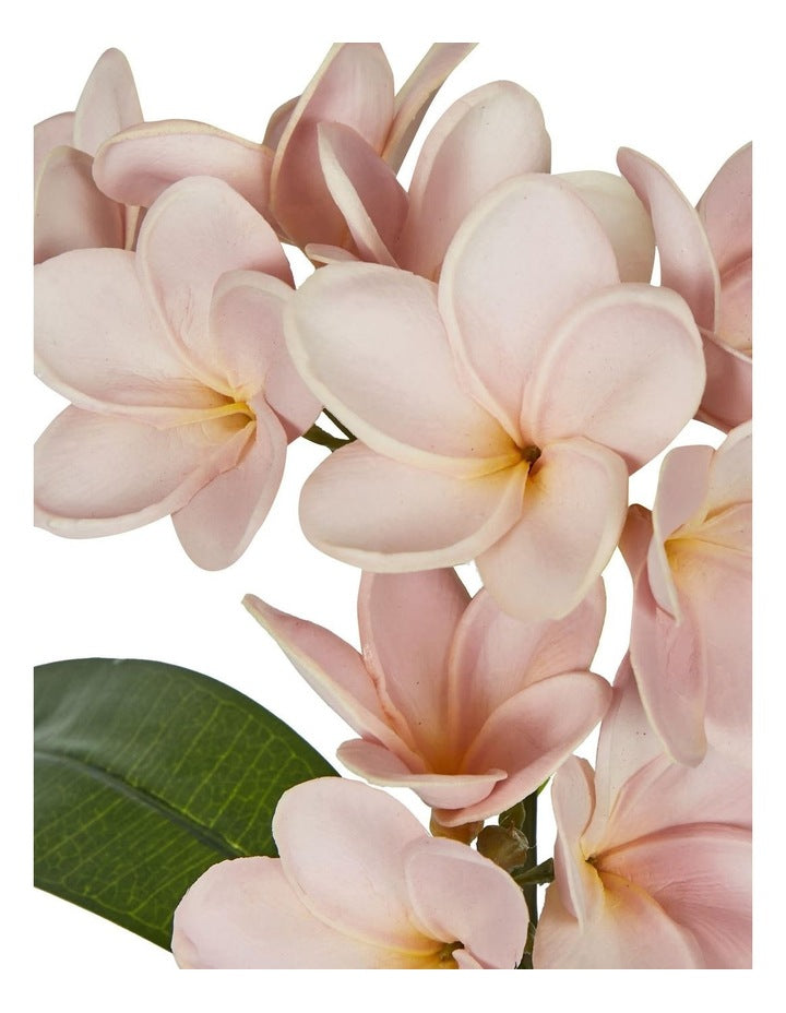 Plumeria Spray 46cm in Pink