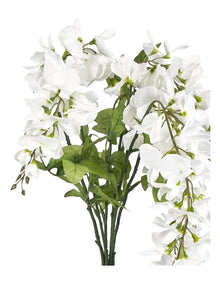 Wisteria Bush 81cm in White