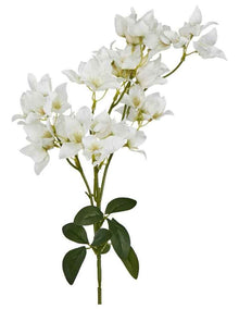 Bougainvillea Branch 83cm in White