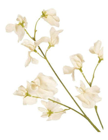 Jane Sweet Pea 60cm in Off White