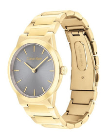 Linear Elegance Ionic Plated Thin Steel Watch in Grey