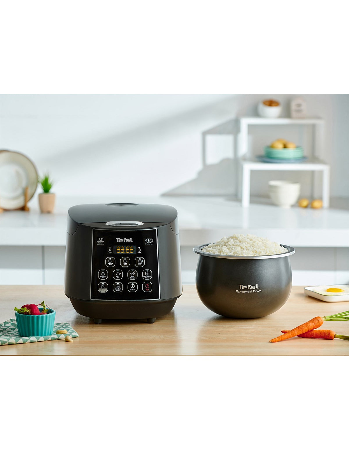 RK736B Easy Rice & Slow Cooker Plus