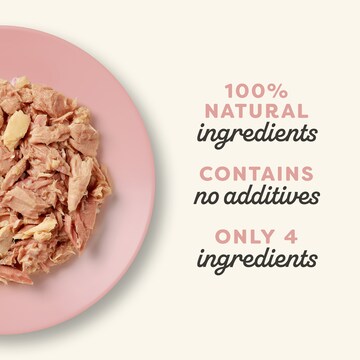 Applaws Tuna Fillet With Salmon Wet Cat Food 70g