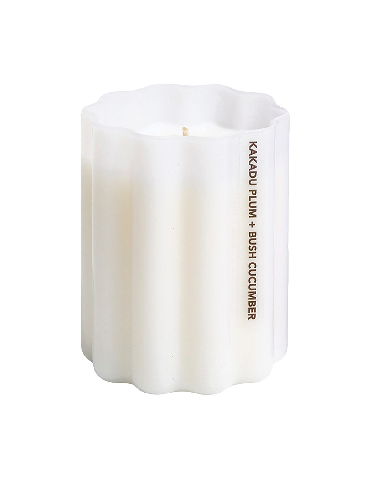 Wave 8cm x 10cm Soy Scented Candle Kakadu Plum Bush Cucumber