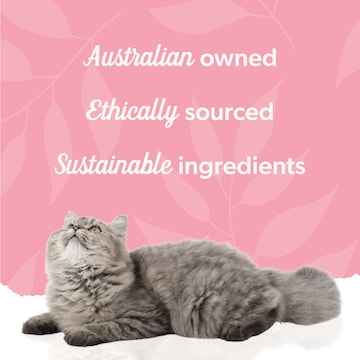 Pretty Wild Creamy Salmon & Chicken Puree Cat Treats 15g x 4 pack