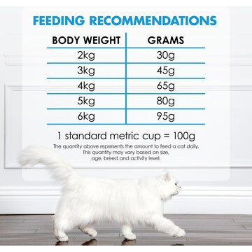 Fancy Feast Salmon & Ocean Fish Flavour Cat Food 450g