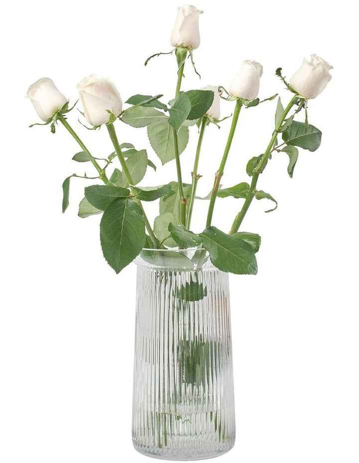 Gallery Evelyn Vase 15x28cm in Clear