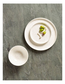 Annie 12 Piece Dinner Set in Speckled White