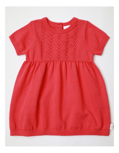 Knit Summer Dress in Coral