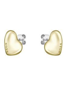 Steel Stud Earrings 1580564 in Multi
