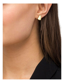 Steel Stud Earrings 1580564 in Multi