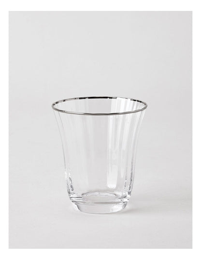 Gabrielle Tumbler Set of 4 in Silver
