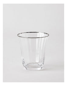 Gabrielle Tumbler Set of 4 in Silver