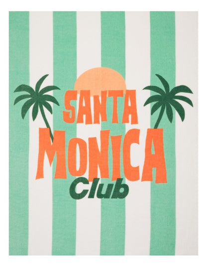 Santa Monica Stripe Printed Flat Towel in Multicoloured