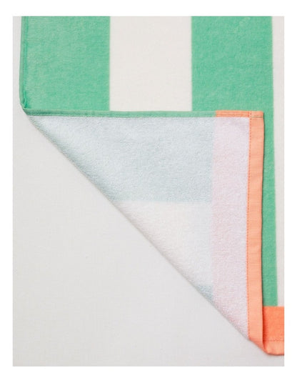 Santa Monica Stripe Printed Flat Towel in Multicoloured