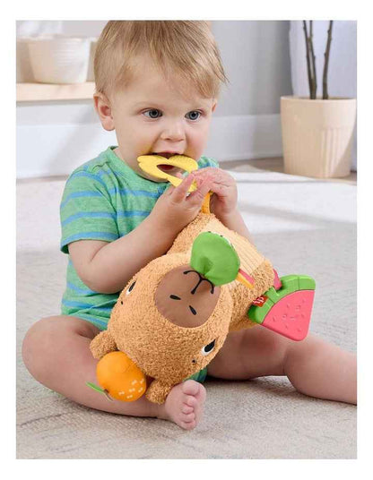 Fisher-Price Snuggly Snacky Capybara Plush Baby Sensory Toy