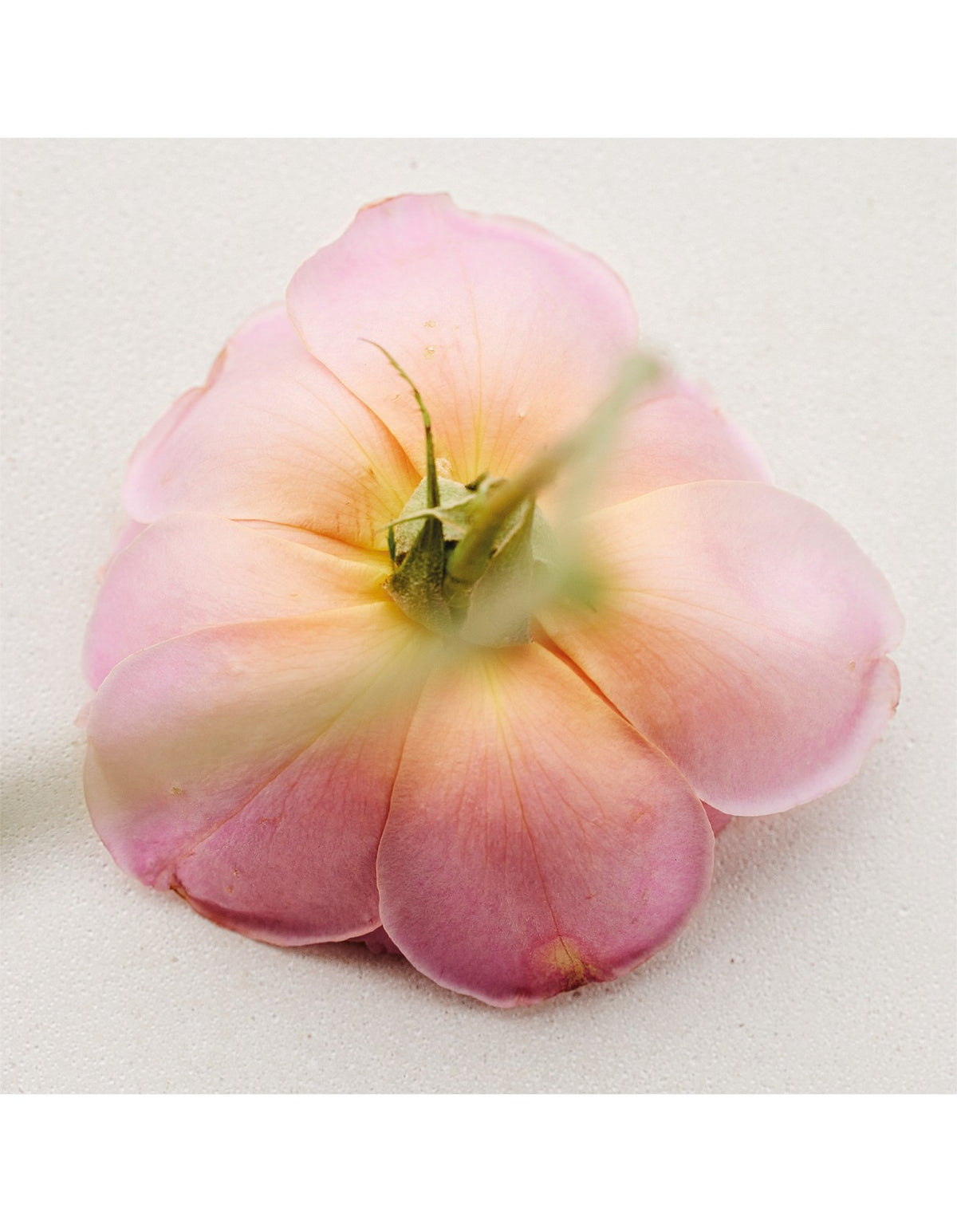 ATELIER DES FLEURS ROSA DAMASCENA EAU DE PARFUM 150ML