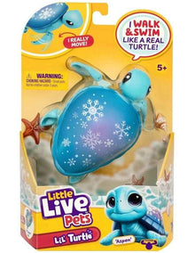Turtle Single Pack in Assorted