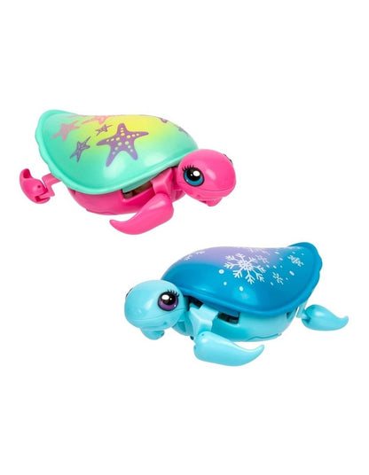 Turtle Single Pack in Assorted