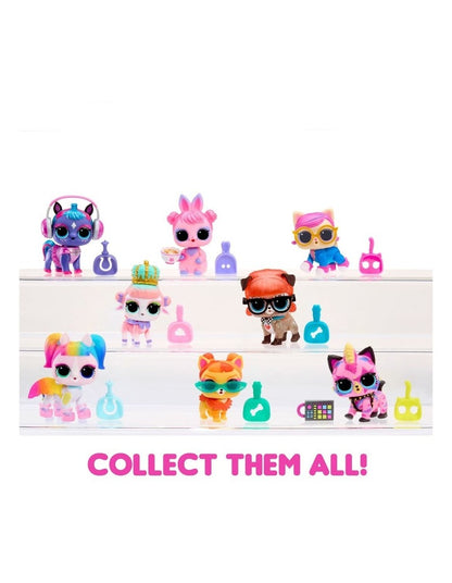 Eye Spy Pets in Assorted