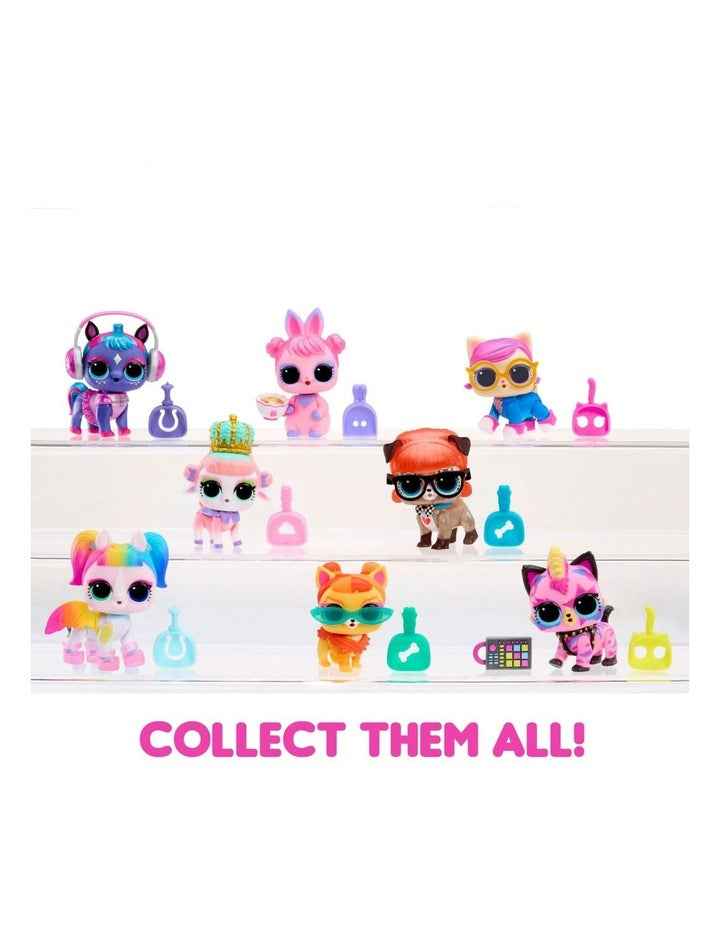 Eye Spy Pets in Assorted