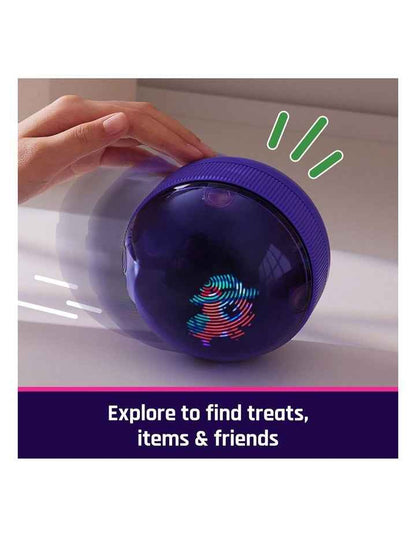 Ball Interactive Toy