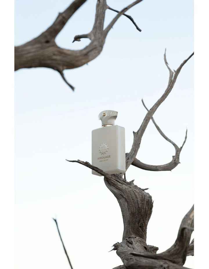 Decision Eau De Parfum 100ml