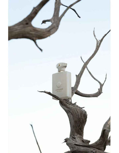 Decision Eau De Parfum 100ml