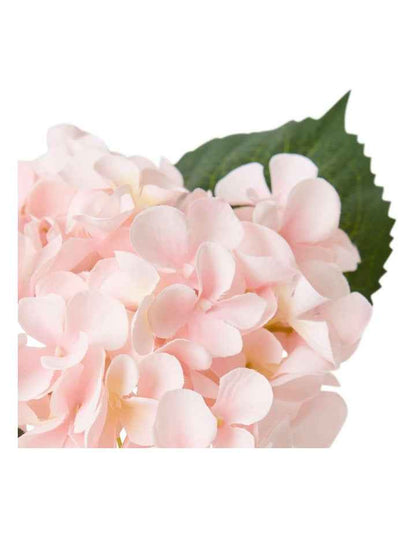 Hydrangea Alma Vase 20cm in Pink