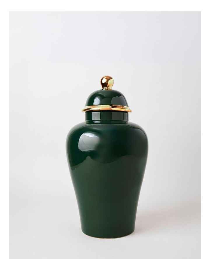 Plain Glass Ginger Jar 36cm in Green