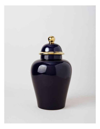 Plain Glass Ginger Jar 36cm in Blue