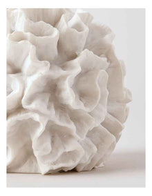 Atolle Ceramic Round Coral Object in White 10cm