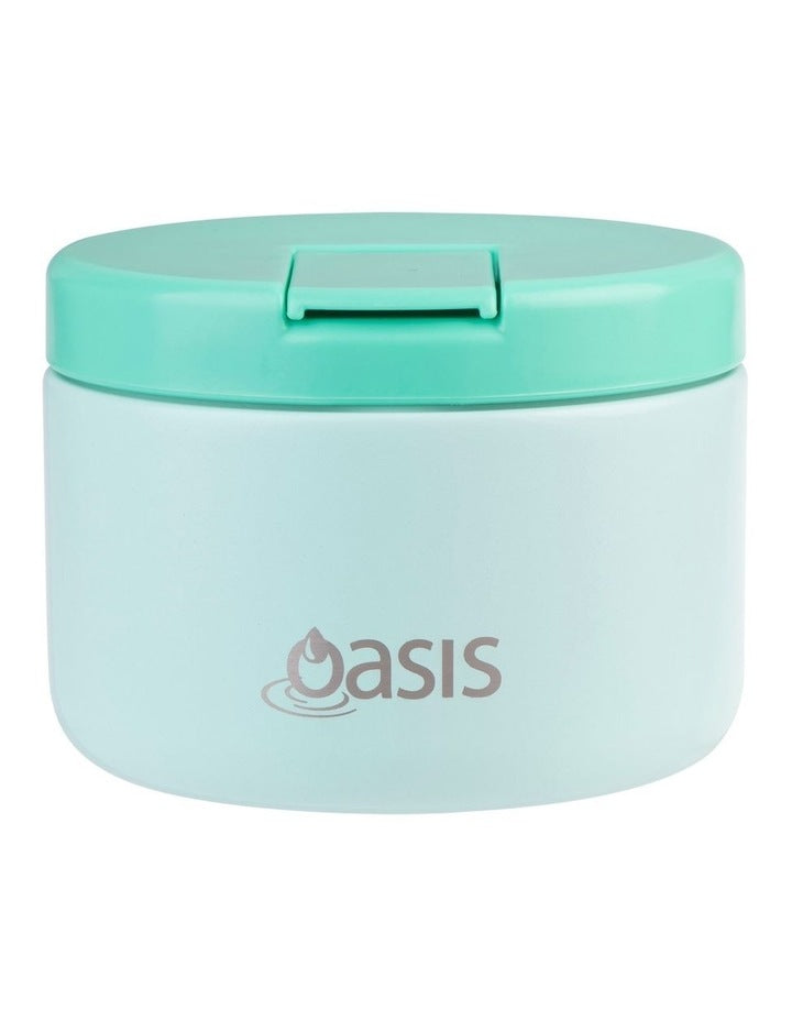 Stainless Steel Double Wall Insulated Food Flask 300ml in Mint