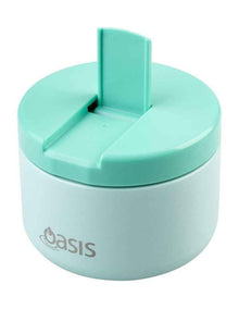 Stainless Steel Double Wall Insulated Food Flask 300ml in Mint