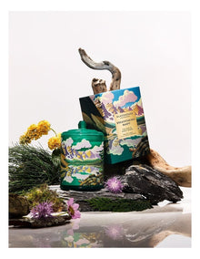 Breathtaking Banff Soy Candle 380g