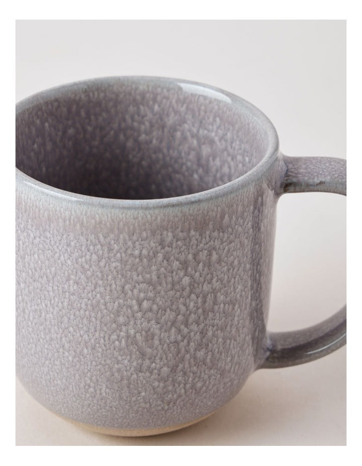 Elements Set of 4 Mugs in Grey