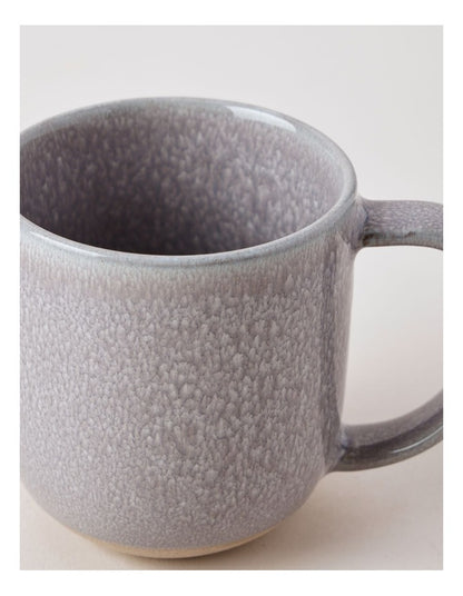 Elements Set of 4 Mugs in Grey