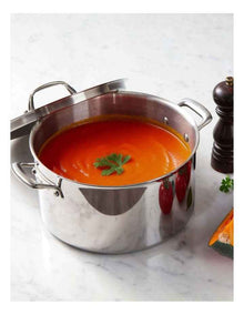 Eternita Clad Stainless Steel Induction Covered Stockpot 26cm/7.6L