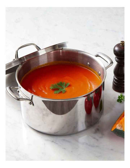 Eternita Clad Stainless Steel Induction Covered Stockpot 26cm/7.6L