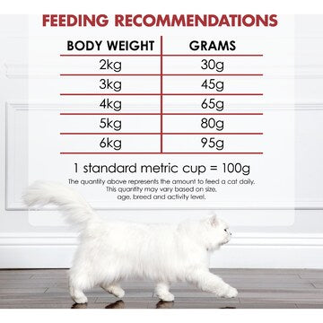 Fancy Feast Adult Beef Salmon & Cheese Flavour Dry Cat Food 450g