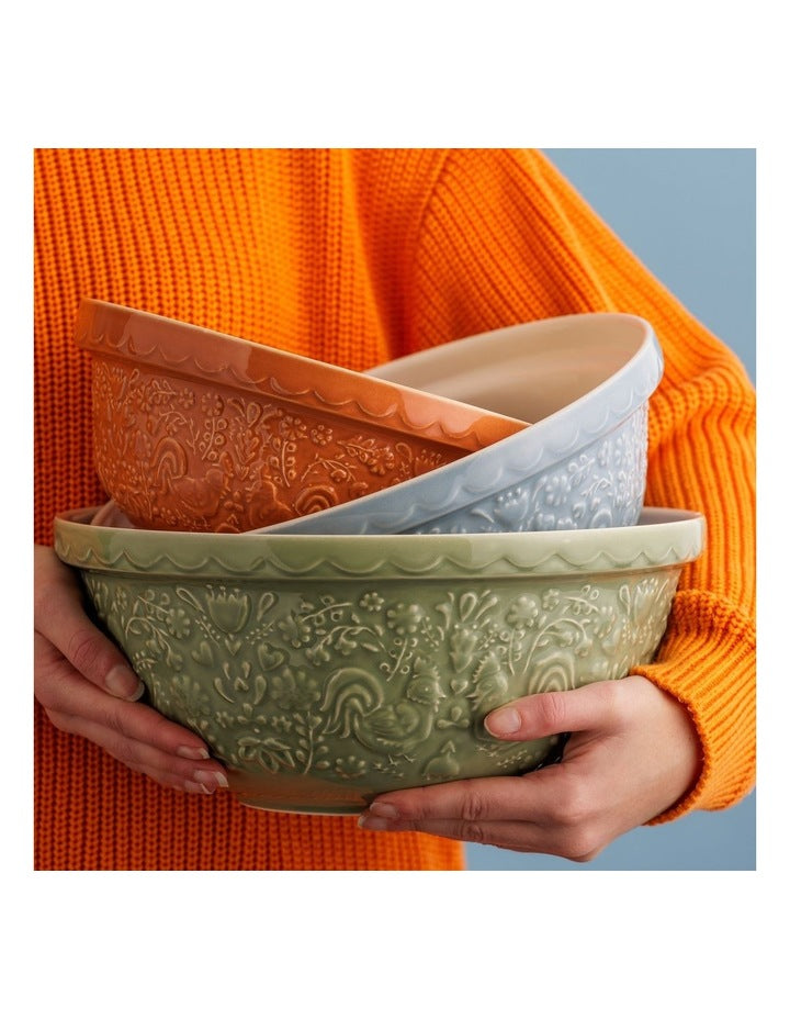 Home To Roost Hen Mixing Bowl 24cm/2L in Orange