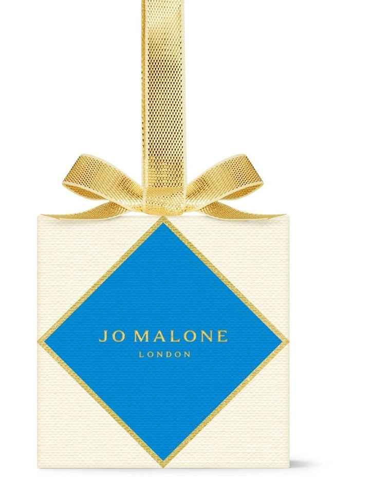 Red and Blue Ornament