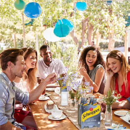 Schweppes Soda Water Bottle Classic Mixers Glass Multipack 300ml x 4 Pack