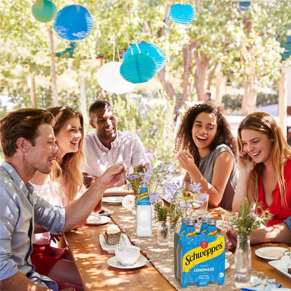 Schweppes Lemonade Soft Drink Bottle Glass Multipack 300ml x 4 Pack