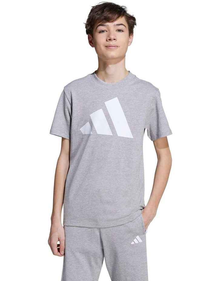 Essentials T-shirt in Grey