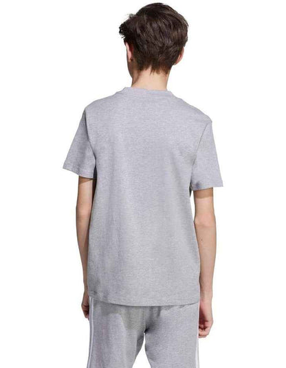 Essentials T-shirt in Grey